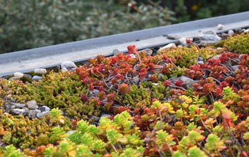 the cost of West Burton green roof installation
