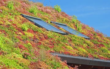 West Burton living roof systems